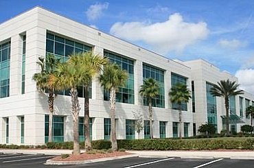 Vědci: Změna klimatu nutí města sáhnout po odolnějších, ale rizikových stromech