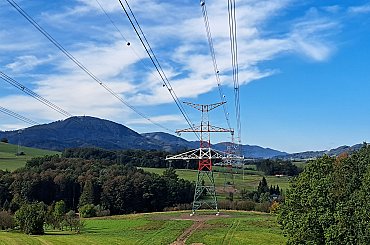 Climate change is spurring tree growth causing havoc for power companies