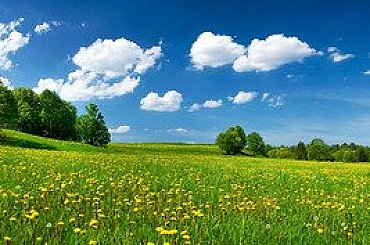 Obrovský kaolinový lom plánovaný u Vidnavy ohrožuje mokřiny chráněné Evropskou unií